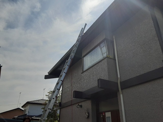 梯子を掛けて調査開始